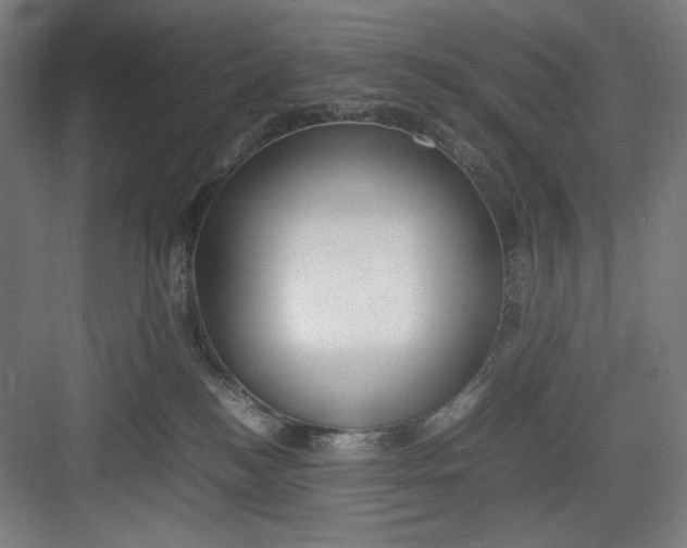 X0000082750184200702162009