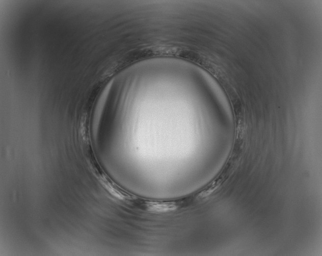 X0000082750185200702162009