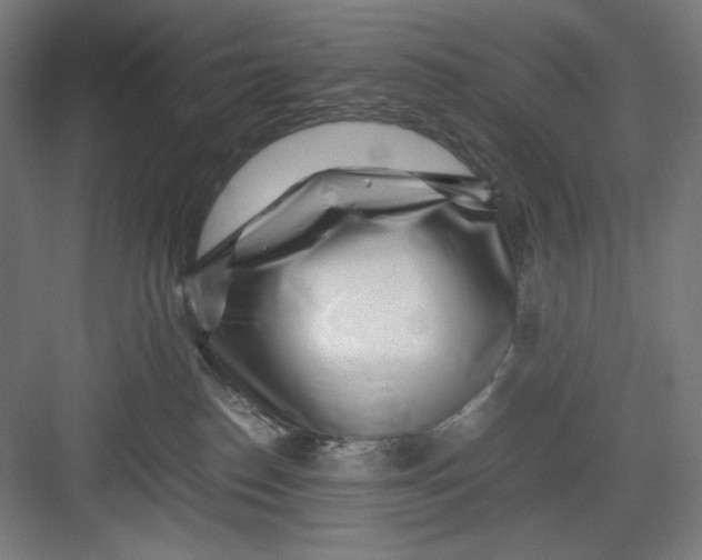 X0000082750186200702162009