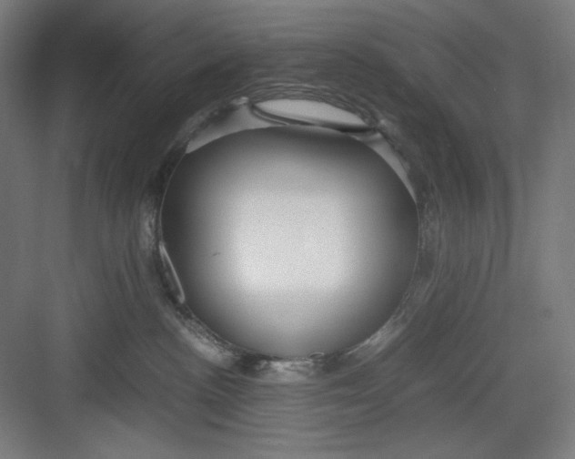 X0000082750188200702162009