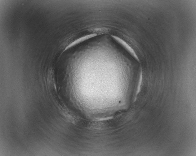 X0000082750189200702162009