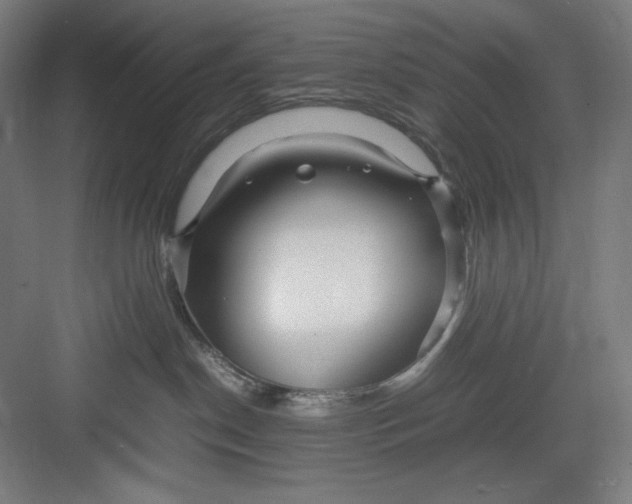 X0000082750190200702162009