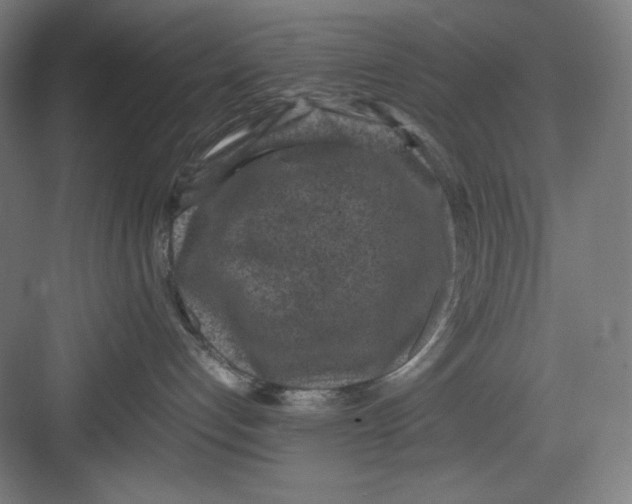 X0000082750192200702162009