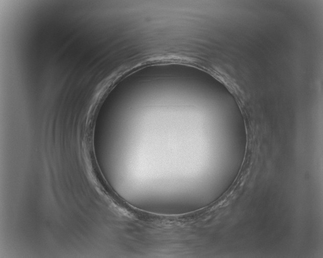 X0000082750193200702162008