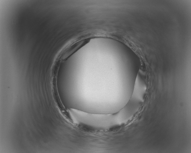 X0000082750197200702162008