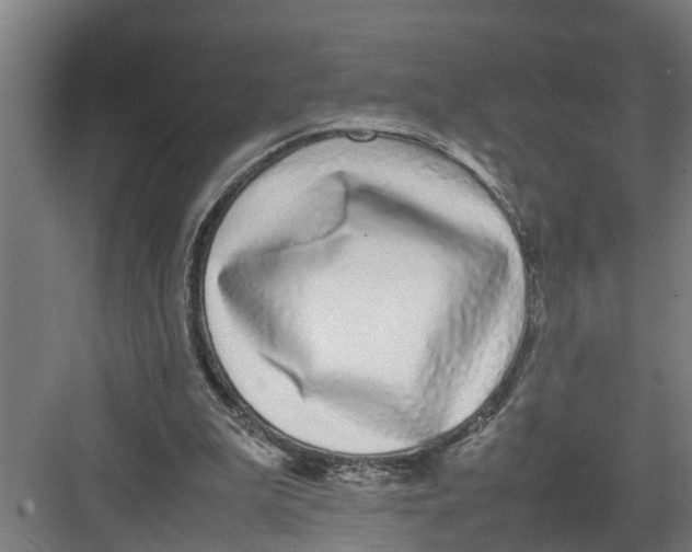 X0000082750199200702162008