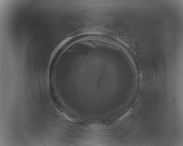 X0000082750200200702162008