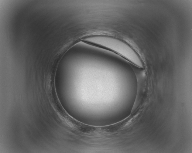 X0000082750201200702162008