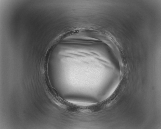 X0000082750203200702162008