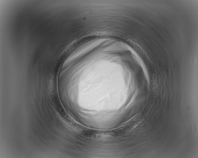 X0000082750208200702162008