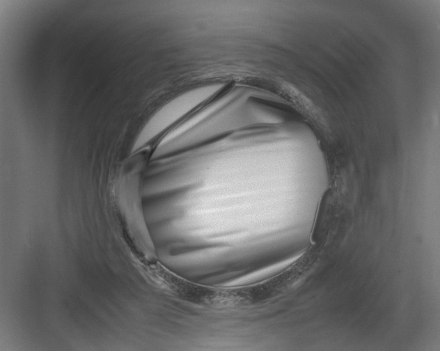 X0000082750209200702162008