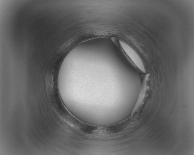 X0000082750211200702162008