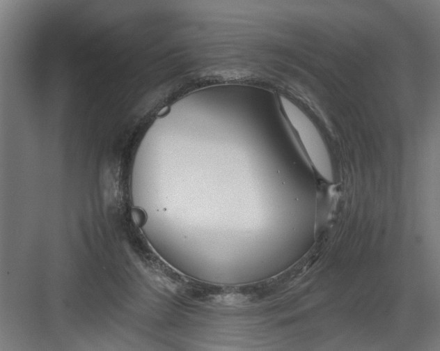 X0000082750212200702162008