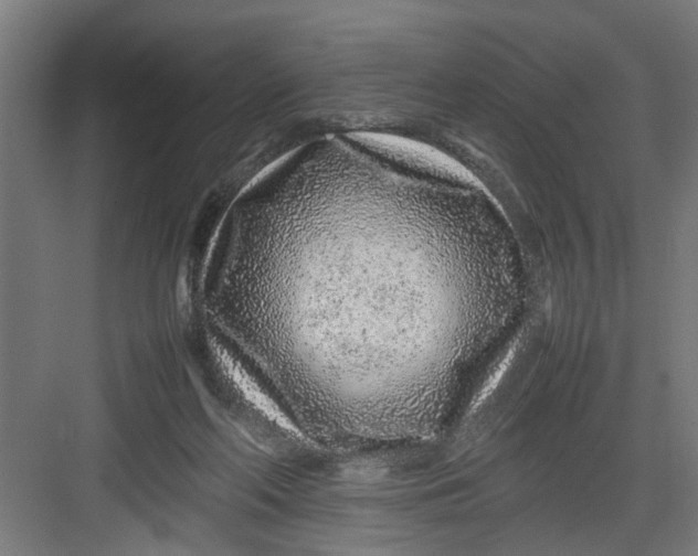 X0000082750214200702162008