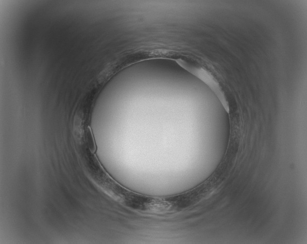 X0000082750215200702162008