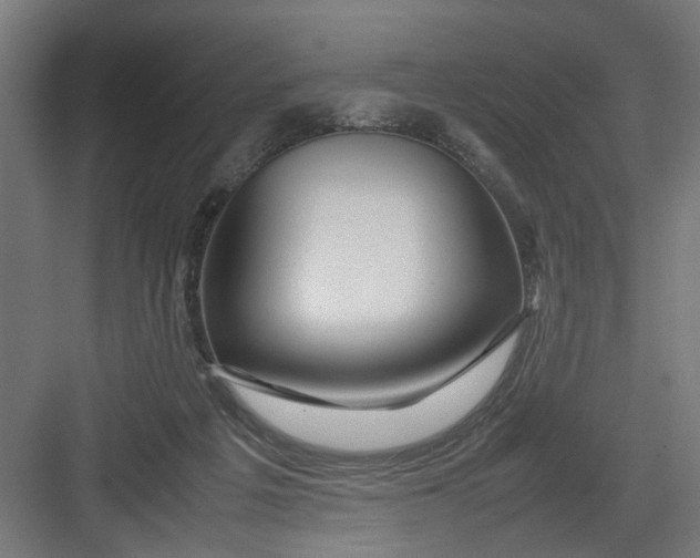 X0000082750217200702162008