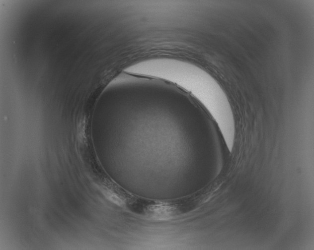 X0000082750219200702162008