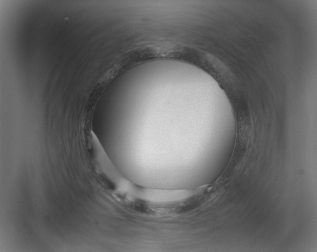 X0000082750221200702162008