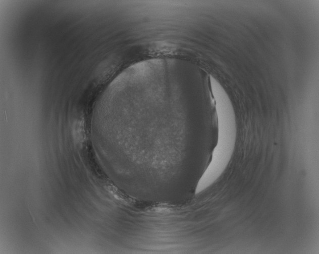 X0000082750224200702162008