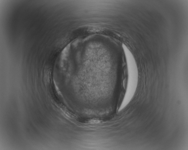 X0000082750227200702162008