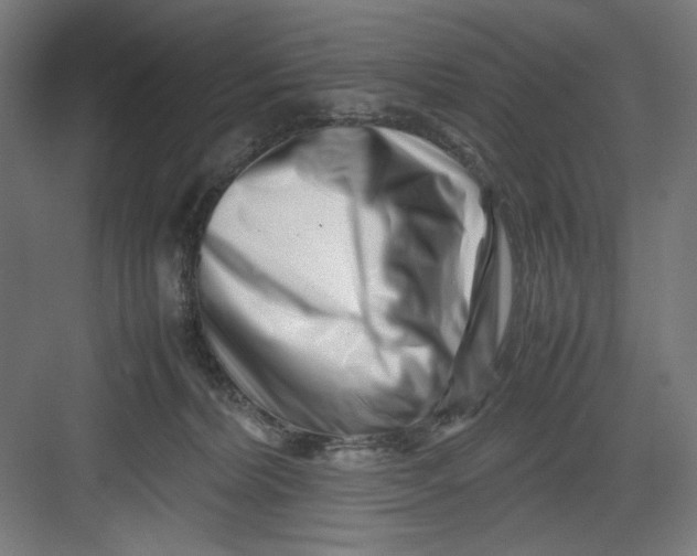 X0000082750228200702162008