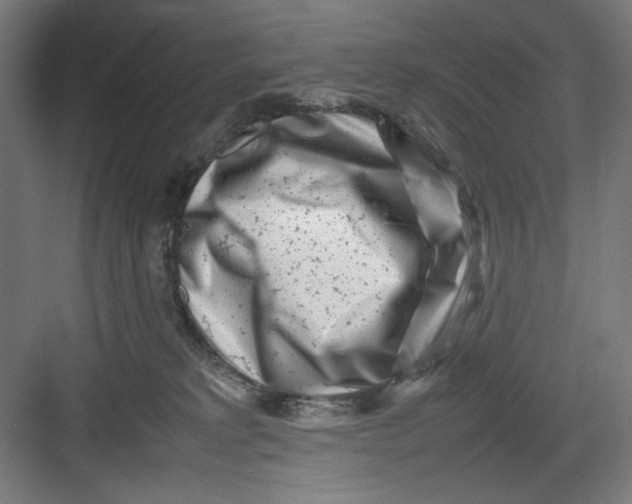 X0000082750229200702162008