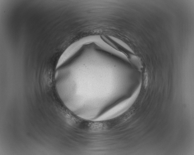 X0000082750230200702162008