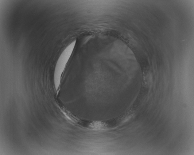 X0000082750231200702162008