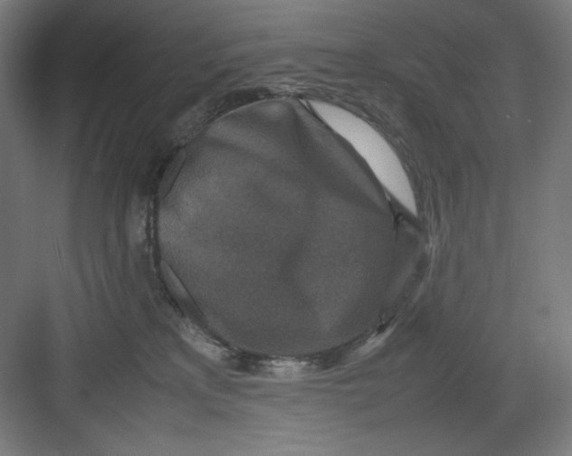 X0000082750233200702162007