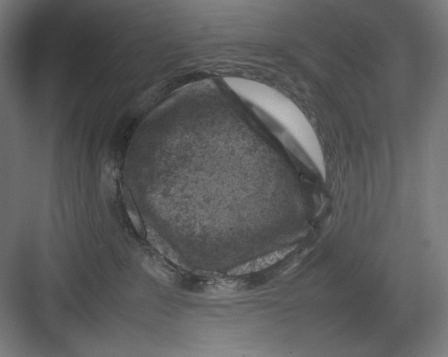 X0000082750235200702162007