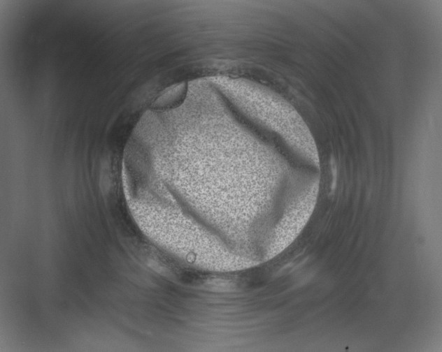 X0000082750236200702162007