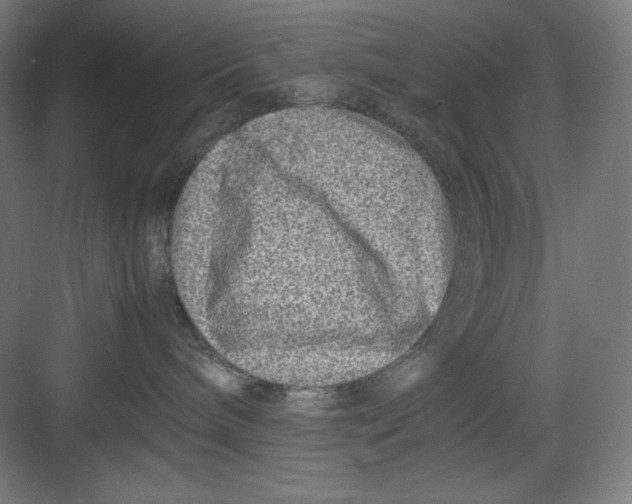X0000082750240200702162007