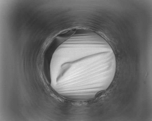 X0000082750241200702162007