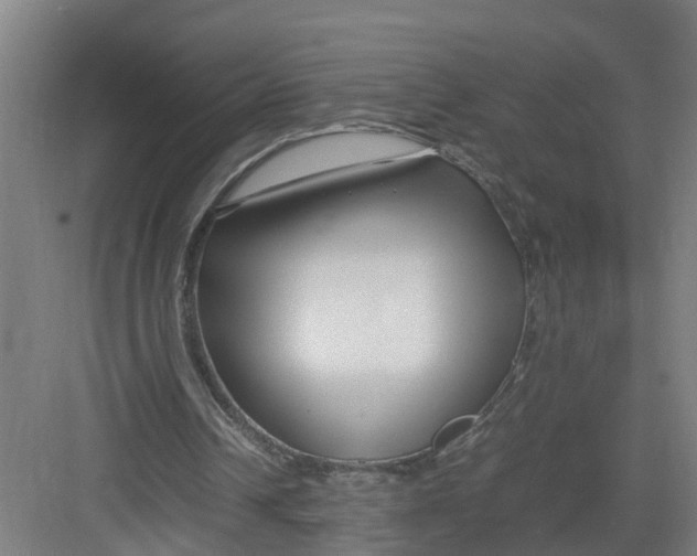 X0000082750242200702162007