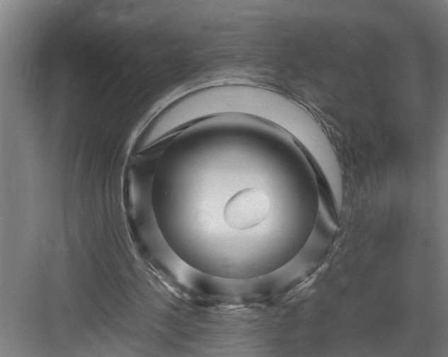 X0000082750244200702162007