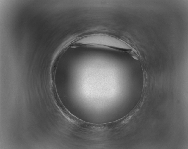 X0000082750245200702162007