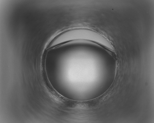 X0000082750248200702162007