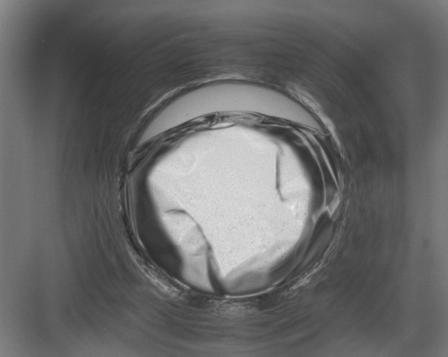 X0000082750249200702162007