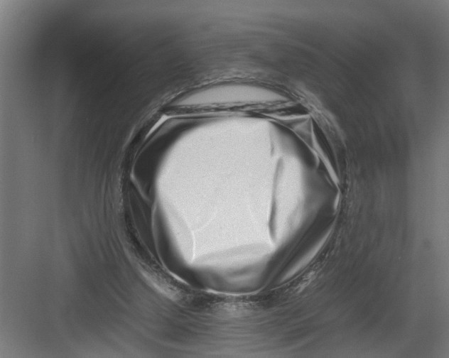 X0000082750250200702162007