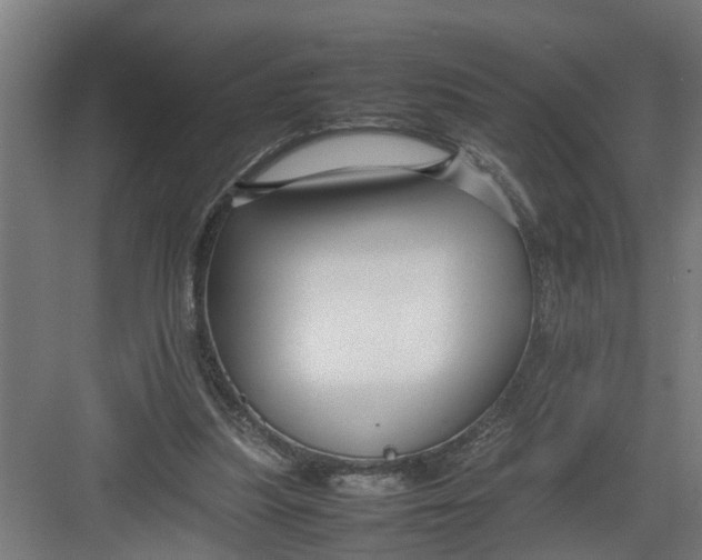 X0000082750251200702162007