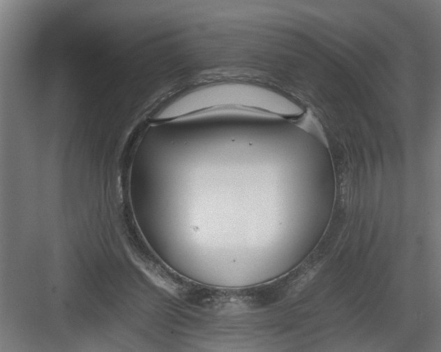 X0000082750254200702162007