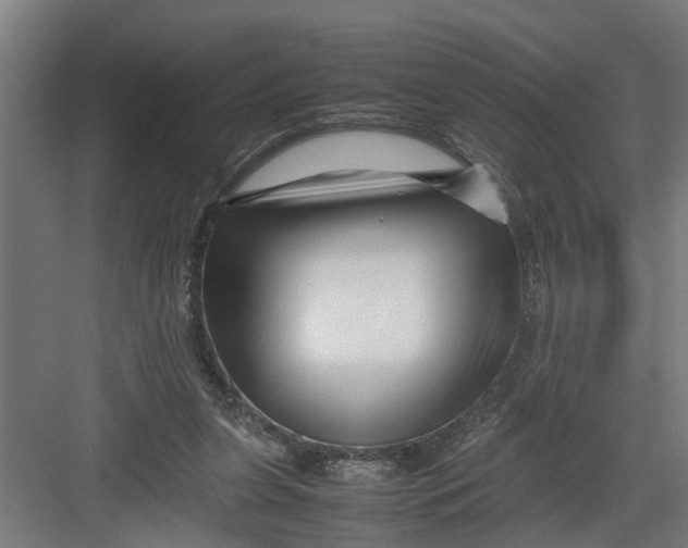 X0000082750255200702162007