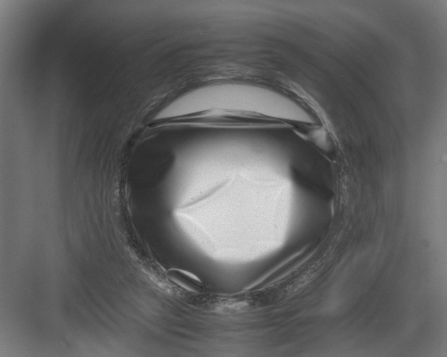 X0000082750257200702162007