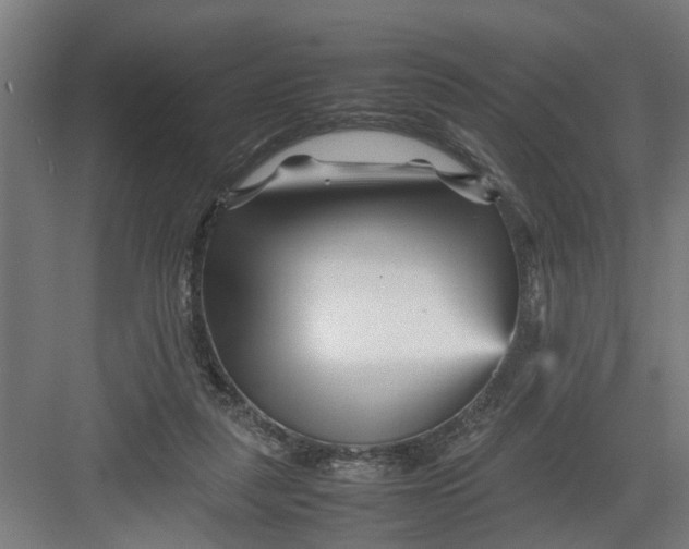 X0000082750259200702162007