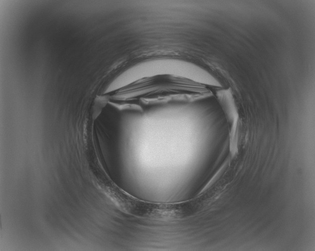 X0000082750260200702162007