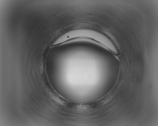 X0000082750261200702162007