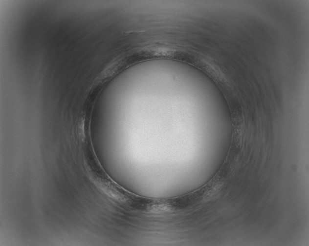 X0000082750262200702162007