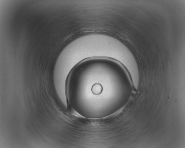 X0000082750264200702162007