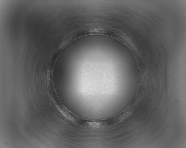 X0000082750265200702162007