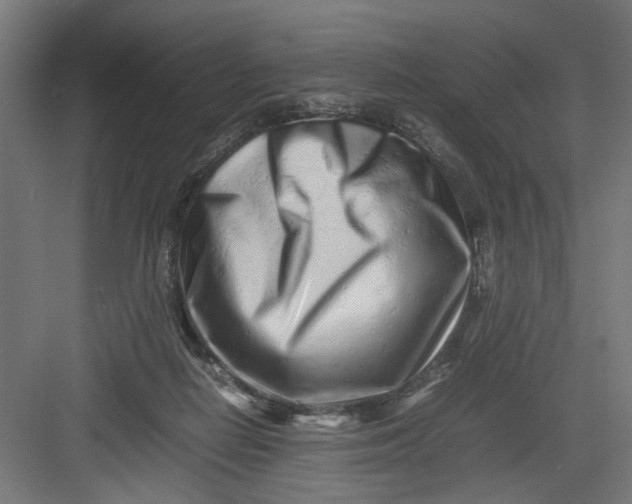 X0000082750266200702162007